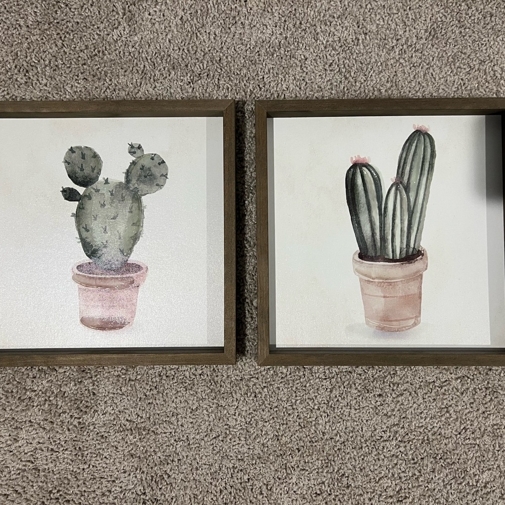 Cactus Wall Art Set in Wooden Frames